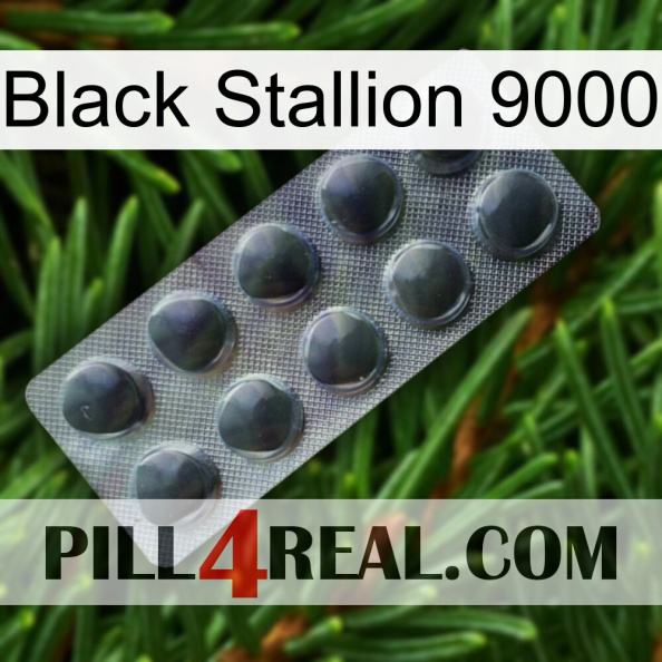 Black Stallion 9000 30.jpg